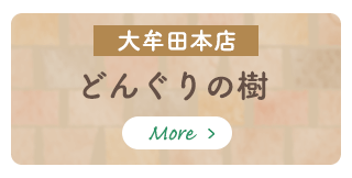 大牟田本店　どんぐりの樹